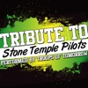 Tribtue to Stone Temple Pilots