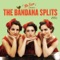 Sometimes - The Bandana Splits lyrics