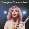 Frampton Comes Alive! (Live) artwork