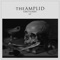 PUSH (Maddjazz Remix) - theAmplid lyrics