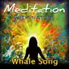 Whale Song album lyrics, reviews, download