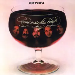 Come Taste the Band 2010 Remix - Deep Purple