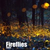 Fireflies - Single, 2013