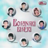 Bosanski Biseri (Bosnian and Serbian Music), 2005