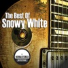 Snowy White - Bird of Paradise