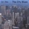 City Blues Feat. Papa George, Alec Gegeshidze - Dr. Ika lyrics