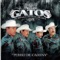 Preso por Vida - Los Gatos de Sinaloa lyrics