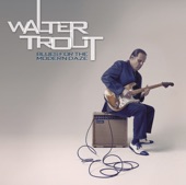 Walter Trout - Brother's Keeper