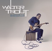 Walter Trout - The Sky Is Fallin' Down