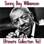 Sonny Boy Williamson - Your Imagination