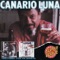 Brindis Por Pierrot - Canario Luna lyrics