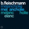 Sendestrasse - B. Fleischmann lyrics