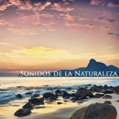 Sonidos de la Naturaleza - Relajación, Meditación & Dulces Sueños, Musicoterapia Natural y Música Relajante - Relajación Natural Maestro