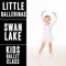 Swan Lake, Op. 20: No. 2, Waltz. Tempo di valse - Mariinsky Orchestra & Victor Fedotov lyrics