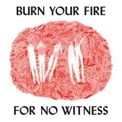 Burn Your Fire For No Witness - Angel Olsen