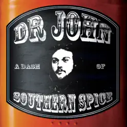 A Dash of Southern Spice - Dr. John