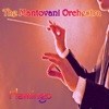 Mantovani Orchestra: Flamingo