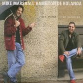 Mike Marshall - Ham & Mike