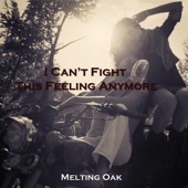 I Can't Fight This Feeling Anymore artwork