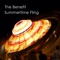 Summertime Fling (feat. Levi Driskell) - The Benefit lyrics