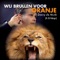 We Brullen Voor Oranje (feat. DJ Galaga) - Danny de Munk lyrics