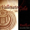 Vallenato de Gala