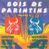 Bois de Parintins - Vol 2, 1998