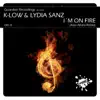 Stream & download I'm On Fire (Xavi Alfaro Remix) - Single