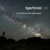 Tigerforest - Geometry of Shadows