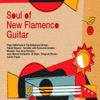 Soul of New Flamenco Guitar