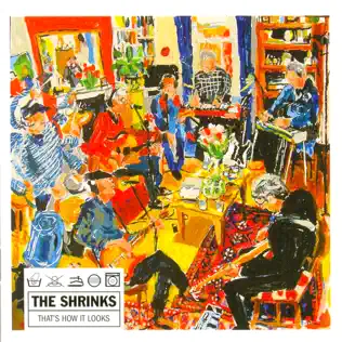 last ned album The Shrinks - Thats How It Looks