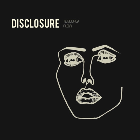 Cover artwork for Flow