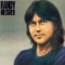 Never Been In Love - Randy Meisner lyrics