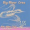 Jingle Dress Side Step - Big River Cree lyrics
