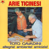 Arie ticinesi artwork