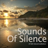 Sounds of Silence... 20 Full Relaxed Audiotrax artwork