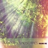 Ambient Soundscapes, Vol. 1