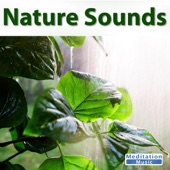 Nature Sounds artwork