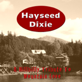 I Love Rock n Roll (Remastered) - Hayseed Dixie