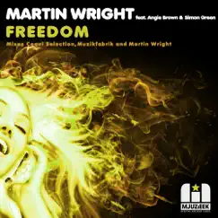 Freedom (feat. Angie Brown & Simon Green) - Single by Martin Wright album reviews, ratings, credits