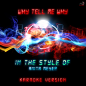 Why Tell Me Why (In the Style of Anita Meyer) [Karaoke Version] - Ameritz Countdown Karaoke