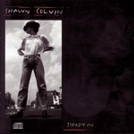 Shawn Colvin - The Dead of the Night