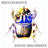 Exotic Megahertz - EP