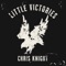 Little Victories - Chris Knight lyrics