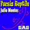 Old Fashioned DeeJay - Julio Montes lyrics