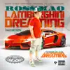 Lamborghini Dreaming - Single album lyrics, reviews, download