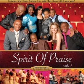 Spirit of Praise, Vol. 1 (Live) artwork