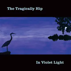 In Violet Light (International Version) - Tragically Hip