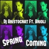 Spring Coming (feat. Brioli) - EP