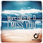 I Miss You (RainDropz & Marc Hill Extended Mix) artwork